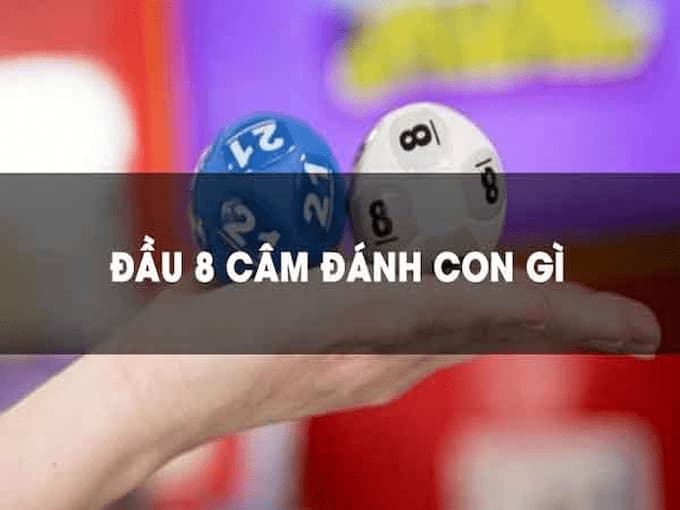 Đầu 8 câm đánh con gì