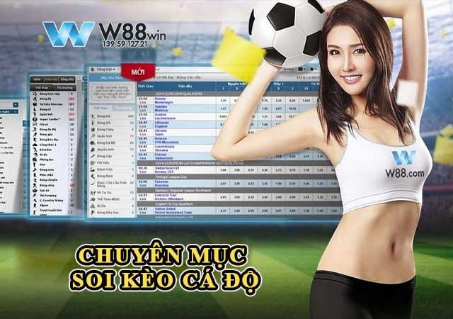 Soi kèo cá độ cực chuẩn tại KUBET