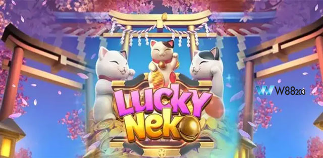 Các lưu ý khi chơi game slot tại KUBET