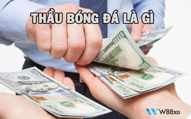 Thầu bóng đá